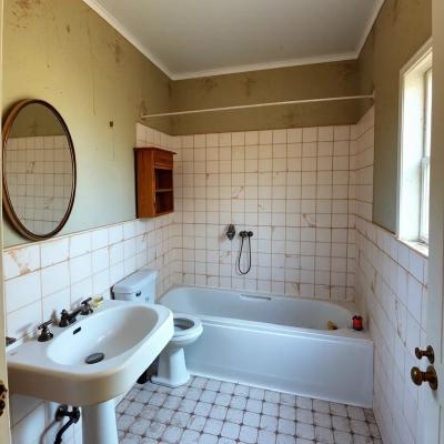 Vighnaharta row houses